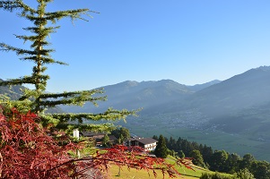 Aussicht Ferienwohnung