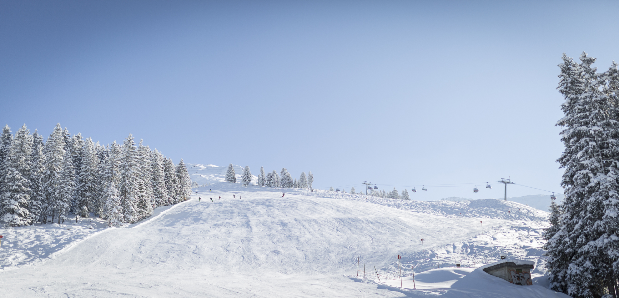 Aarwirt Hochfügen (1)