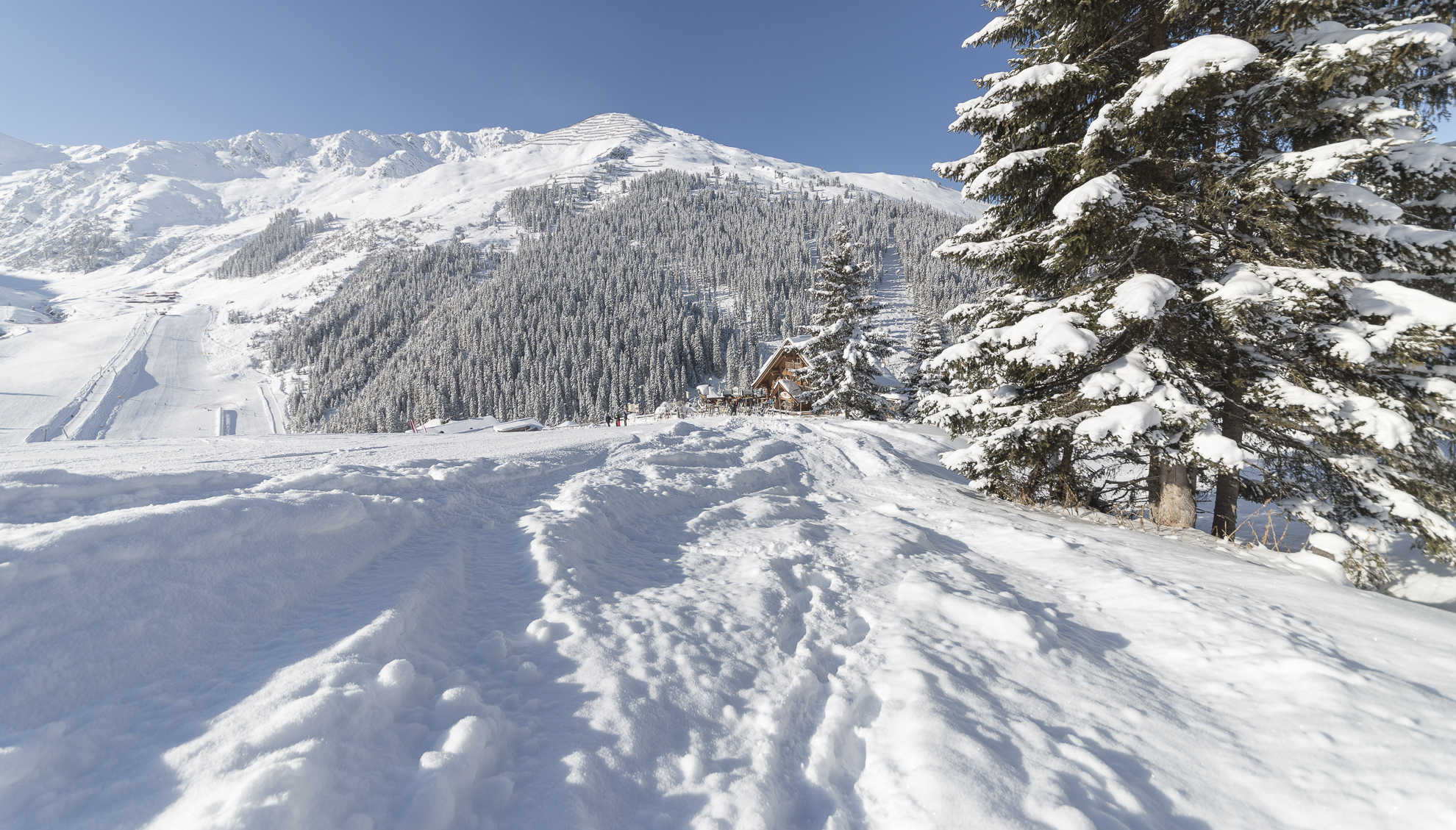 Aarwirt Hochfügen (3)